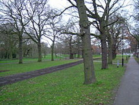 Tooting Bec Common