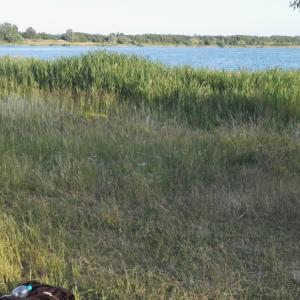 Schladitzerbucht Wolteritzer Seite