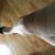 Pantyhose66