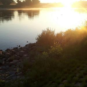 Lutherstadt Wittenberg in Sachsen-Anhalt