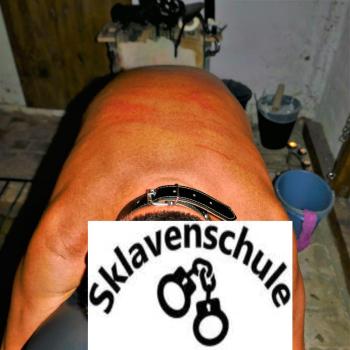 stauferian