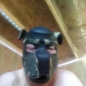 Alpha_Howler