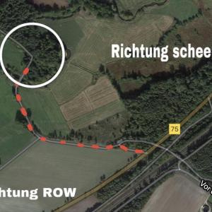 Wald Zwischen ROW und Scheeßel