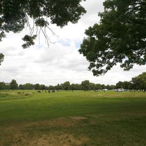 Clapham Common