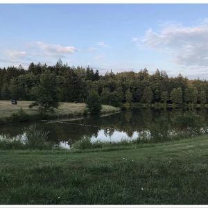 Schnelldorf Erlensee