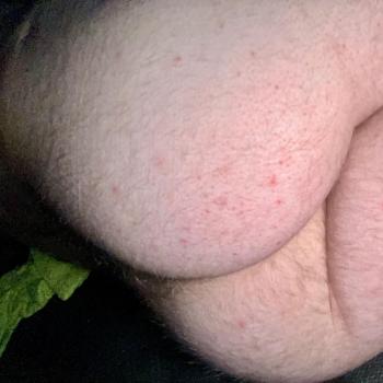 Cocklover1991