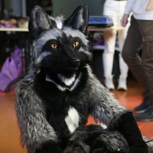 Furries