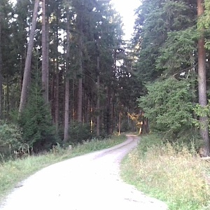 Bochingen Waldparkplatz/See