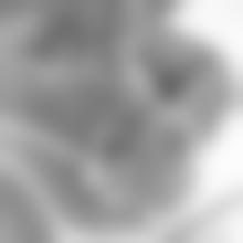 Selena_Sophia_Watkins