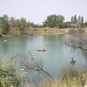 Badeteich Wien Süßenbrunn