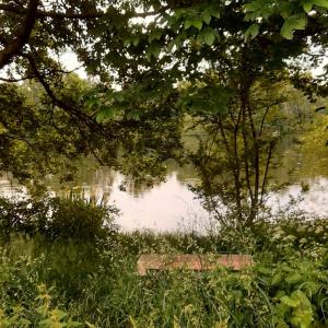 Schwarzer Teich Auerbach