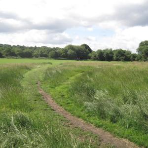 Hampstead Heath