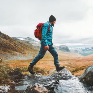 Trips & Hiking