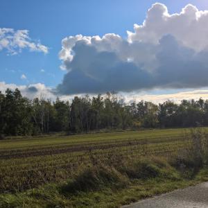 Dreieckgrube Sandersdorf A9