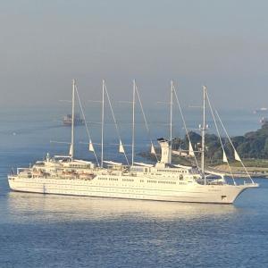 Gay Travel Partner 45+