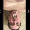 Pissboydrinker6969