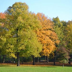 Volkspark Friedrichshain