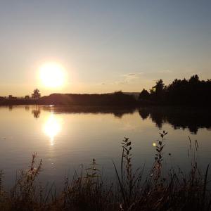 Riedsee Pforen kleinersee fkk