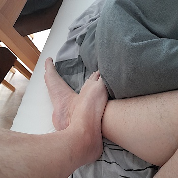 Blase-Stute