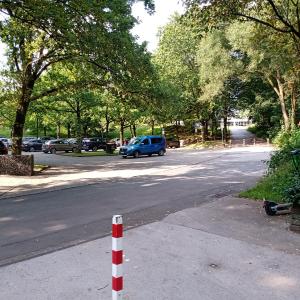 Vogelsang an der Schule