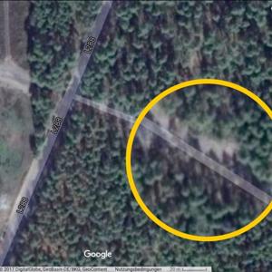 Bickelsteiner Heide zwischen Ehra und Boitzenhagen