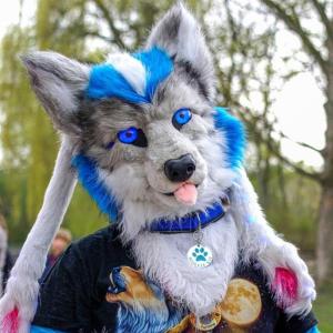 Furries
