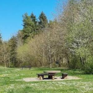 Parkplatz. Runder tisch  buchen