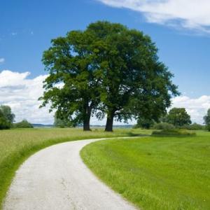 Jung sucht alt und Dick