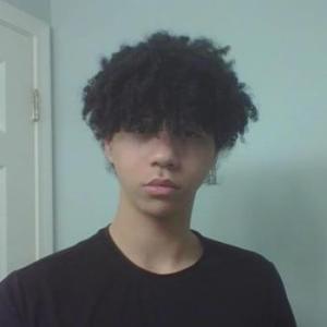 twinktrap
