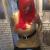 Andrea59609