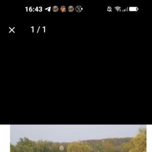 Sextreff Binsfeldbaggersee Speyer Otterstadt 