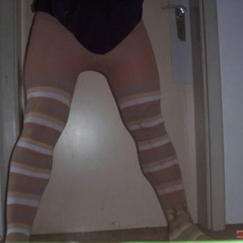 Haunstetterdachmeister