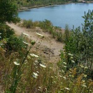 Kiessee Pirna-Pratzschwitz