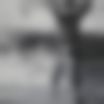 Voyeur17