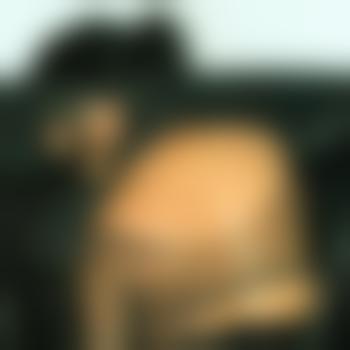 FF_Slave