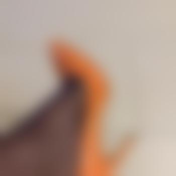 Lucie_TV