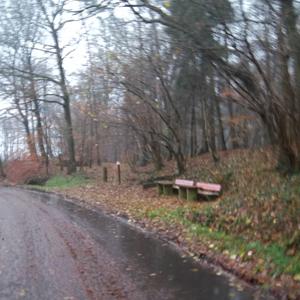 LKW Parkplatz Harsefeld