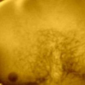 analwhore-3109