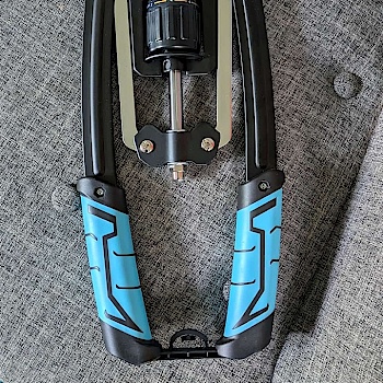 Lotusbluete