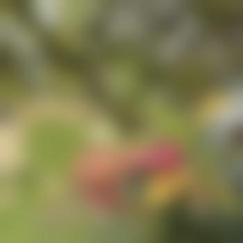 HornyNick11